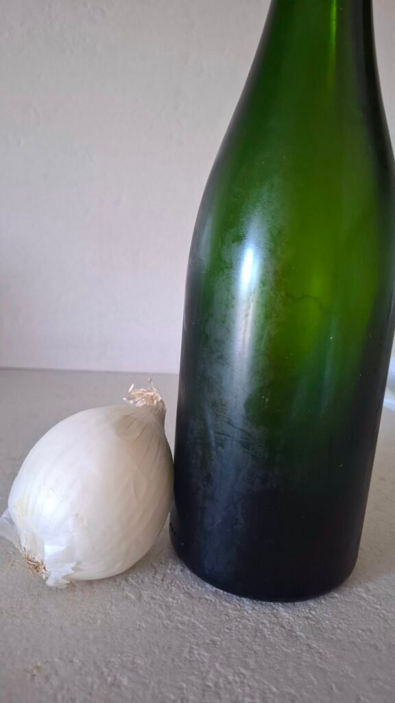 Vino e cipolla