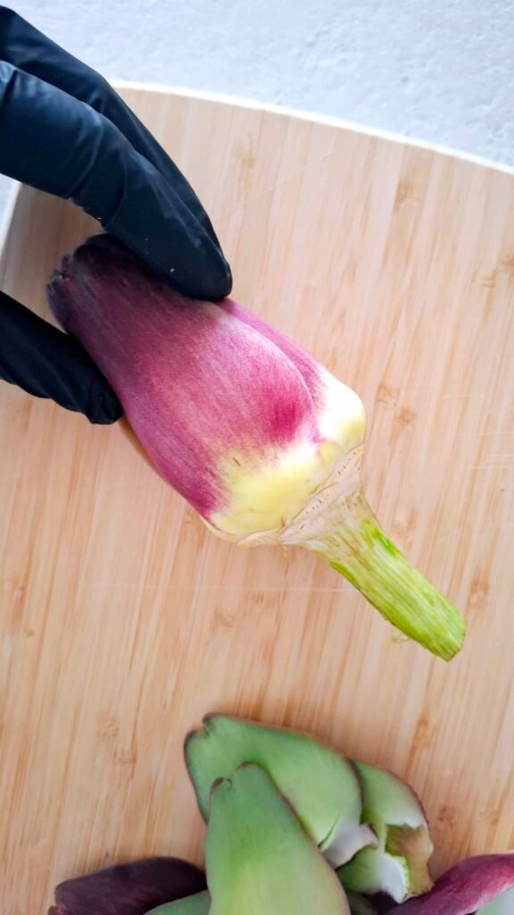 Mano con guanto nero che applica pulizia al carciofo dopo aver tolto foglie dure e pulito gambo con coltellino