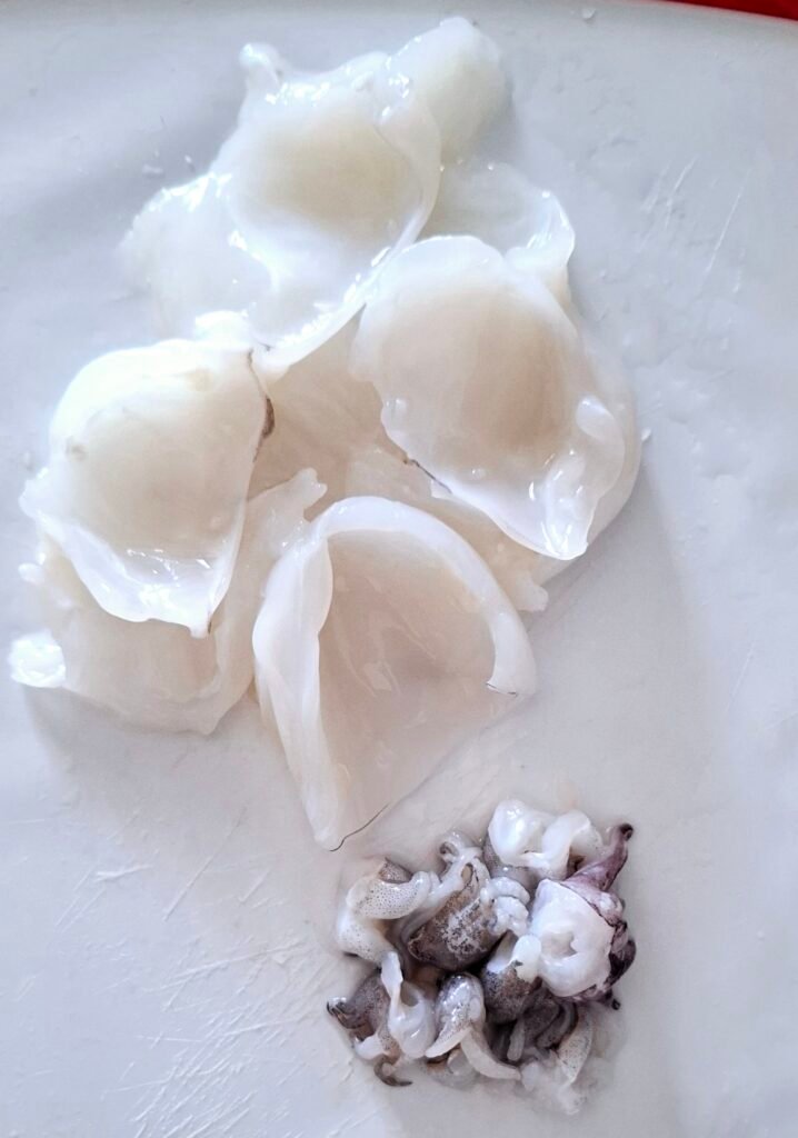 Seppie con corpo diviso dai tentacoli