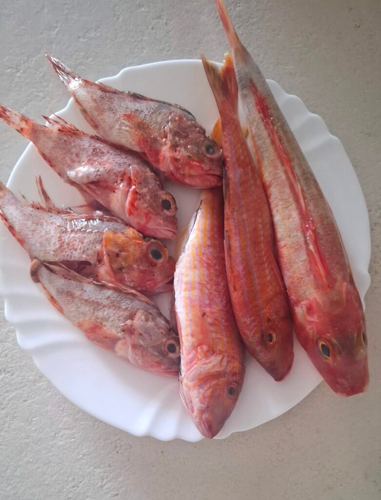 Pesce da scoglio eviscerato