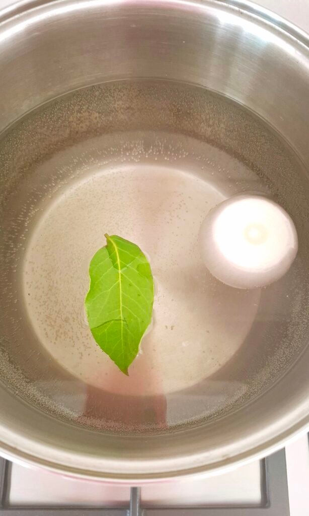 Alloro e cipolla in acqua per polpo bollito
