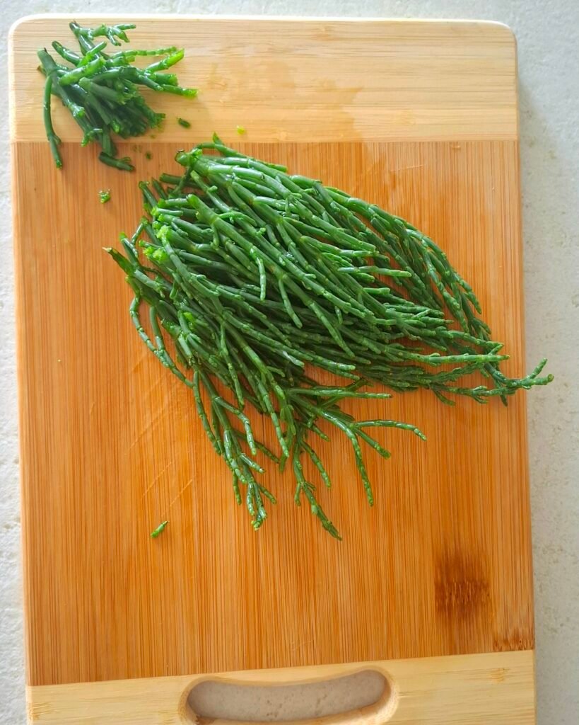 Salicornia con taglio radici 