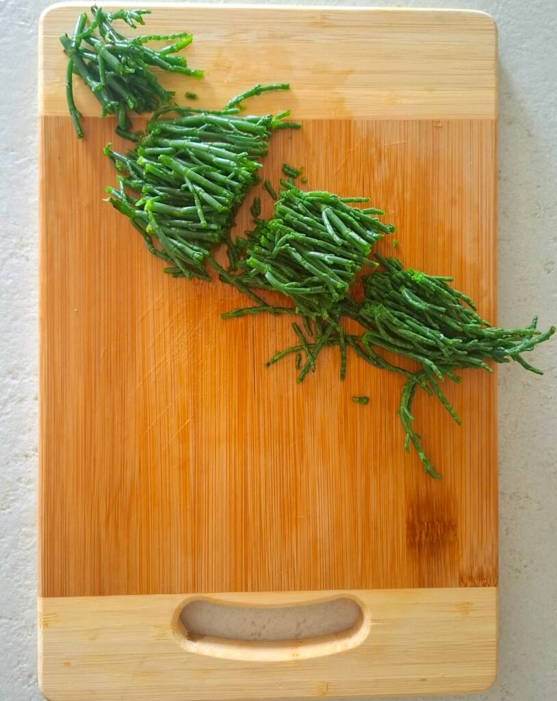 Salicornia tagliata in pezzi di 4 cm circa